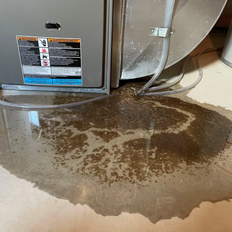 Appliance Leak Cleanup in Luray, VA